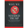 Why We Needed Trump: Part 2: Obama's Fundamental Transformation: Far Left