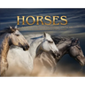 Horses: a Soulful Equestrian Photography Coffee Table Book