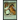 Choosing a Career in Animal Care
