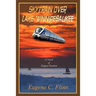 Skytrain Over Lake Winnipesaukee: A Novel of Magical Realism