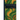 Ducks at a Distance