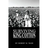 Surviving King Cotton: "Cotton Pickin Po"