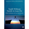 Youth Without Family to Lean On: Global Challenges and Local Interventions