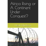 Africa Rising or A Continent Under Conquest?