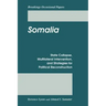 Somalia: State Collapse, Multilateral Intervention, and Strategies for Political Reconstruction