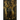 Nostoc