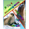 2 In 1 Coloring Book: Seals vs. Sea Lions: Super Cute Little Coloring Book! 74 Pages Awesome Colring Book Beautiful Pictures - Perfect for S