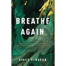 Breathe Again: Choosing to Believe There's More When Life Has Left You Broken