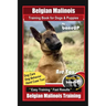 Belgian Malinois Training Book for Dogs & Puppies By BoneUP DOG Training, Dog Care, Dog Behavior, Hand Cues Too! Are You Ready to Bone Up? Easy Traini