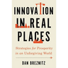 Innovation in Real Places: Strategies for Prosperity in an Unforgiving World