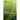 Intelligent Electronic Devices