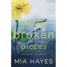 All The Broken Pieces