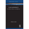 Fluid Modernity: The Politics of Water in the Middle East