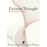 Furious Triangle