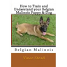 How to Train and Understand Your Belgian Malinois Puppy & Dog