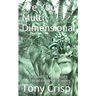 Are You Multidimensional: Travel Through Space and Time