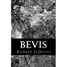 Bevis