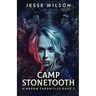 Camp Stonetooth