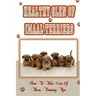 Healthy Glen of Imaal Terriers: How To Take Care Of Them, Training Tips: Treatment For Glen Of Imaal Terriers