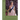High Fashion and Elizabeth II Great!: Elizabeth, politics. fashion, art, diplomacy, etiquette, wedding.