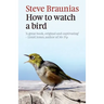 How to Watch a Bird
