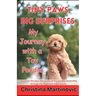 Tiny Paws, Big Surprises: My Journey with a Toy Poodle