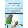 How to Care for Your Meyer's Parrot: A Comprehensive Guide to Their Habitat, Dietry Requirements, Health, Management, Pet Ownership and More