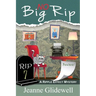 No Big Rip (A Ripple Effect Mystery, Book 7)