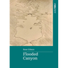 Flooded Canyon