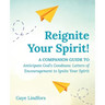 Reignite Your Spirit!: A Companion Guide to Anticipate God's Goodness