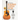 Bluegrass Flatpick Guitar-Solos, Licks and Tricks Volume 1: Concepts and Tunes