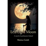 LeafLight Moon: A novel of prehistoric Ireland