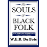 The Souls of Black Folk (An African American Heritage Book)