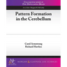 Pattern Formation in the Cerebellum