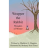 Wrapper the Rabbit: Wonders of Winter