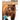 Grizzly Bear: Fascinating Animal Facts for Kids