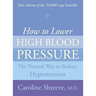How to Lower High Blood Pressure: The Natural Four Point Plan to Reduce Hypertension