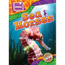 Sea Horses