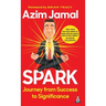 Spark: Journey from Success to Significance