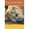 JUNIOR and BOBO The Beach Bulldogs: Let Sleeping Dogs Lie