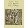 Fluvial Processes in Dryland Rivers