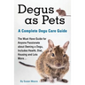 Degus as Pets, a Complete Degu Care Guide