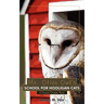 Ms. Olive Owl's School For Hooligan Cats: A Vincent Chapter Book