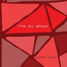 The Sky Ahead