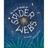 The Secret World of Spiderwebs