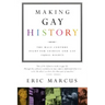 Making Gay History: The Half-Century Fight for Lesbian and Gay Equal Rights