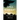 Still Midnight