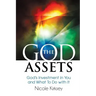 The God Assets: God's Investment in You and What to do With It