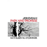 Jeremiah: Pain and Promise