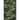 AI for Digital Warfare